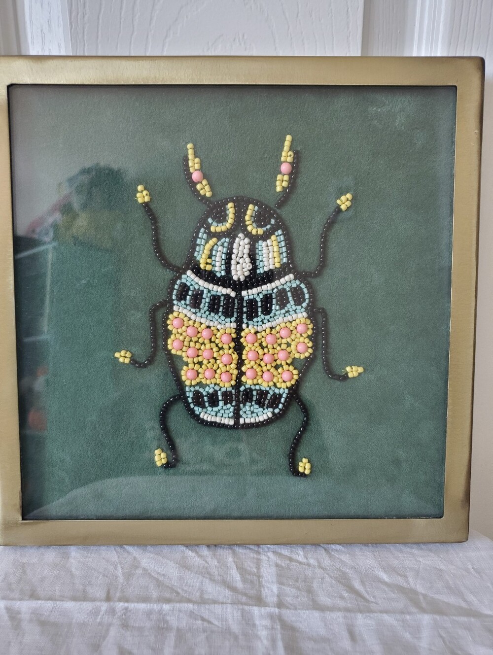 Beaded Beetle